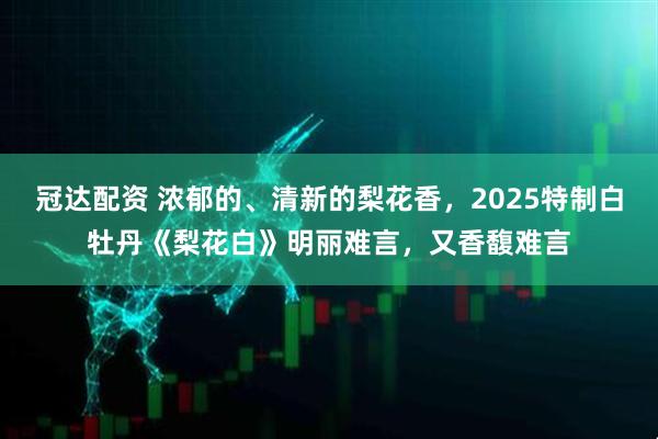 冠达配资 浓郁的、清新的梨花香，2025特制白牡丹《梨花白》明丽难言，又香馥难言